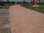 �����|�I������ƺ����(�D)