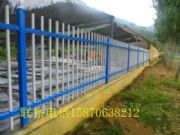 �M��С�^(q��)���� �����h�e���\��o��ӆ��