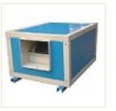 ���������x���L��