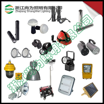 浙江尚為szsw7352防爆led道路燈