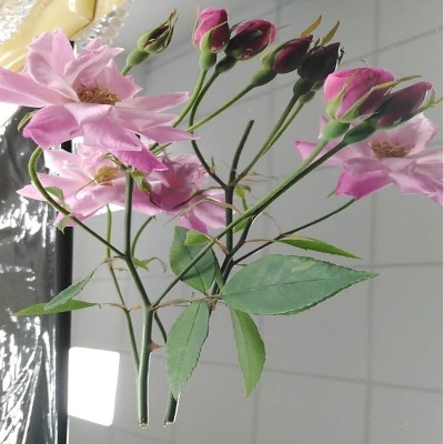 ���� 8k���P��R��� 8k�R�治�P�