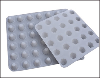 ����N��250g������ ���ݷNֲ��������ˮ��