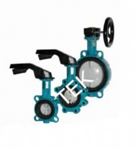 �M(j��n)�ڌ��Aʽ���y