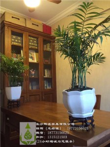 �Lɳ���������Ҿߡ���ľЬ�񡢕��ܶ��ƹ��S