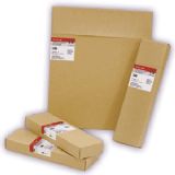 ��������yes star���I�zƬ(�D)