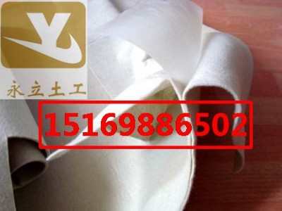 悽����BĤ̩���˹������B���̏ͺ�����Ĥ