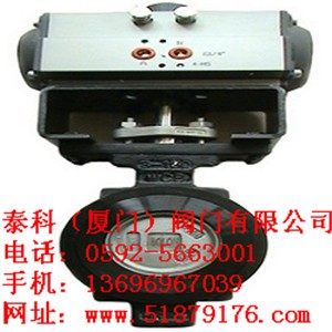 ̩�ƚ�ӵ��y ̩�ƌ��Aʽ���y