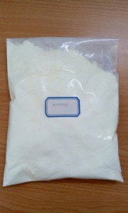 ����{�������X