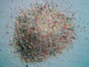 ��������֬ɰ ���B��֬ɰ ��ꖘ�֬ɰ