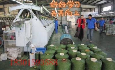 �����ƺ�����������ƺ