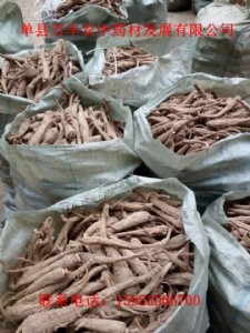 ɽ�|���ƷN������ă�