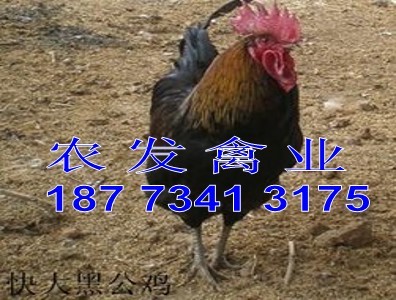 �����u��r��