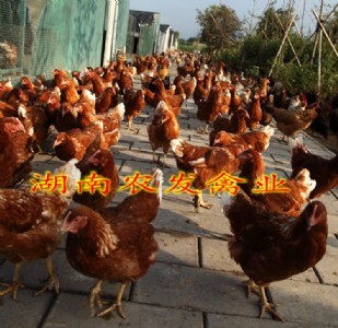 ���|���u�����l|���m���u��r��