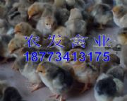 �������S�u��r��