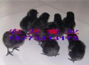 �����u��r��