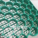 �G��ֲ�ݸ�r��-ֲ�ݸ���̖