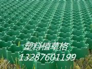 �L��ֲ�ݸ�/�L������ֲ�ݸ�