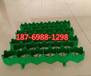 ���@�G��ֲ�ݸ�