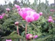 �������g��ȡ��