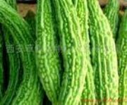 ���������ȡ��