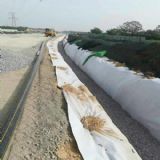 �Ϻ����ٹ�·�ָ�550�˃ɲ�һĤ�S��