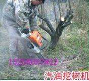 ȫ���ژ�C(j��)