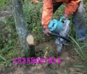 �f�Ύ���������C