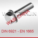 供應(yīng)六角法蘭螺栓DIN6921