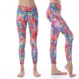 ���I(y��)������������\�]�٤���٤ѝ�٤bra