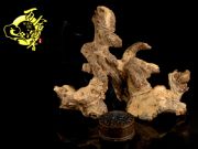 ����̓r(ji��)���l(f��)�r(ji��)������|����̓r(ji��)���l(f��)