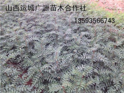 ��������1���������硢���������