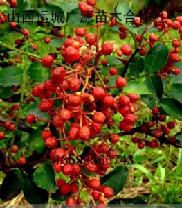 ��������ۡ����������硢1����������