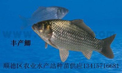 �S�a�a�~��