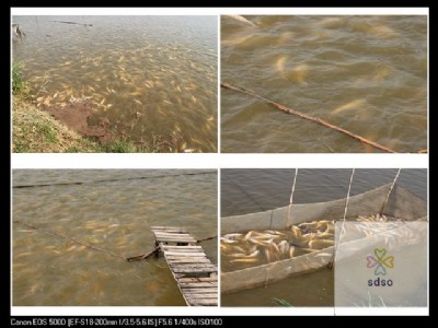 혵¾�������~�~��