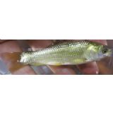 �����~�磨��ɫ���~�硢���K���~�磩