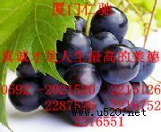 ̼����}���l�r�� ̼����}�Ї�(�D)