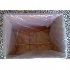 �S�Ҍ��I�����ķ��״�  ���m������ �C�����m��