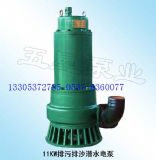 11KW������ɳ��ˮ늱�