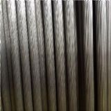 �|ݸ����䓏S�L�����a�h��316���P���ĥ��