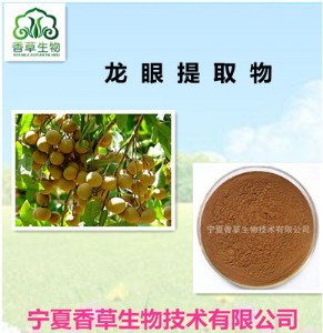 龍眼提取物 桂圓粉 優(yōu)質(zhì)龍眼肉粉 桂圓多糖 量大從優(yōu)