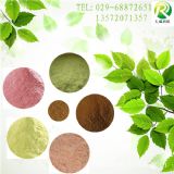 玉竹提取物玉竹粉玉竹酵素粉