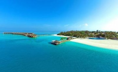 ���ڹ�˾ע�Զ����X ��Ϣ���c���I���ں��Ŀ�Y�������Ո