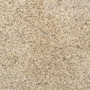 �S�Pʯ�����