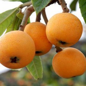 �����������������ُ�����������������޽ӣ����������������