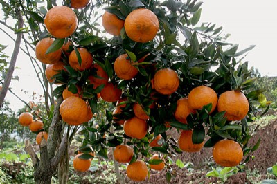 ������Ҋ�����l��������Ҋ��N