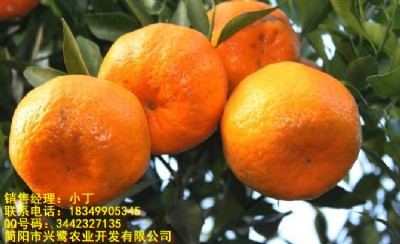 �Ĵ���������ۣ��Ĵ�������a�����Ĵ����������c