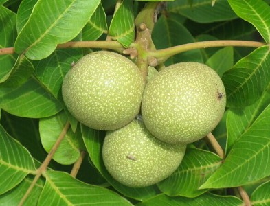 �ؑc������������c���ؑc�����������ُ