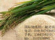 �����M(j��n)�ڴ��״����(b��o)�P(gu��n)����