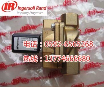 22205454英格索蘭安全閥