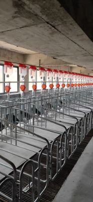 �i��ĸ�i��λ�ڑҿ�©�S����λ��